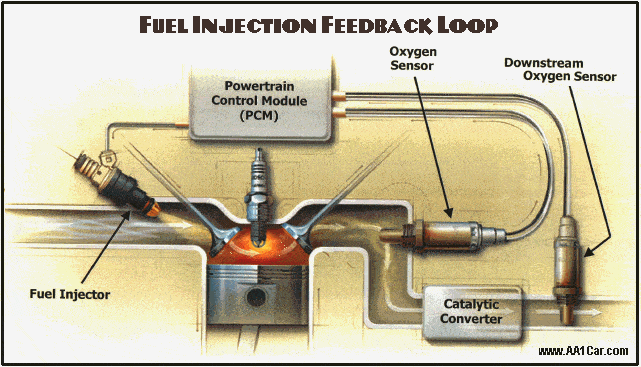 oxygen sensor diagram