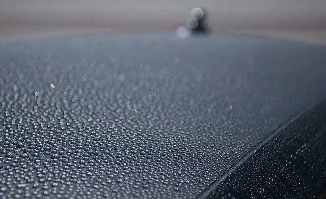 Hydrophobic coating 