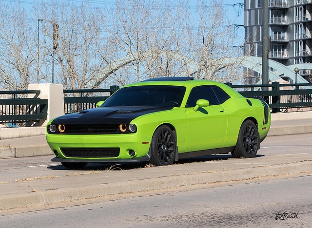 gorgeous green Charger