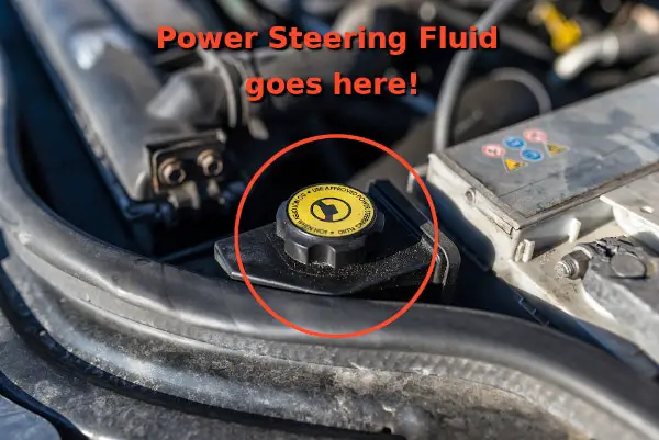 power steering reservoir location with cap